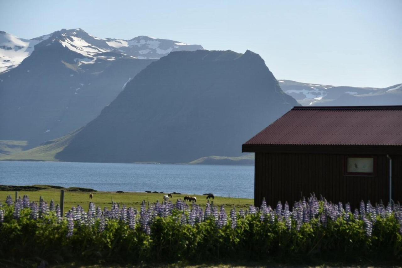 Sudur-Bár Guesthouse Grundarfjordur Exterior foto